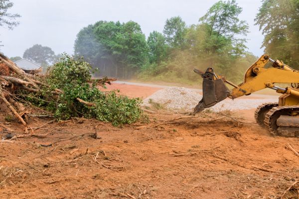 Cost of Forestry Mulching Service in Nampa