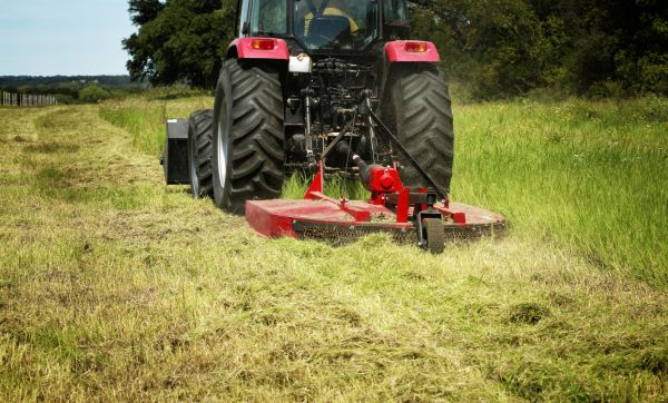 Brush Clearing Service in Nampa