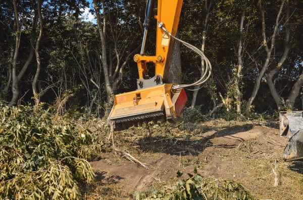 Brush Removal Service in Nampa