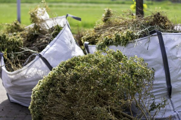 Cost of Bushes Clearing in Nampa