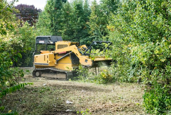 Cost of Pathway Clearing in Nampa
