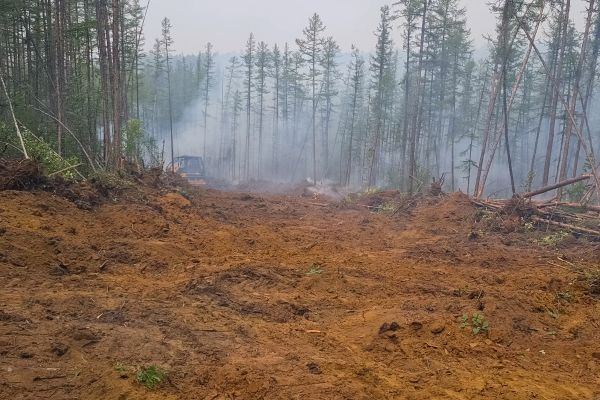 Cost of Hill Clearing in Nampa