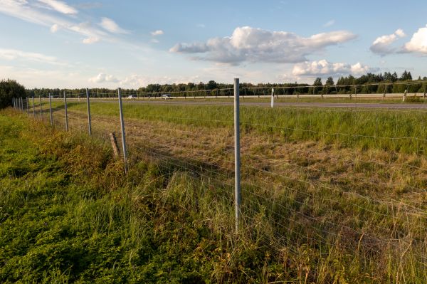 Cost of Property Line Clearing in Nampa