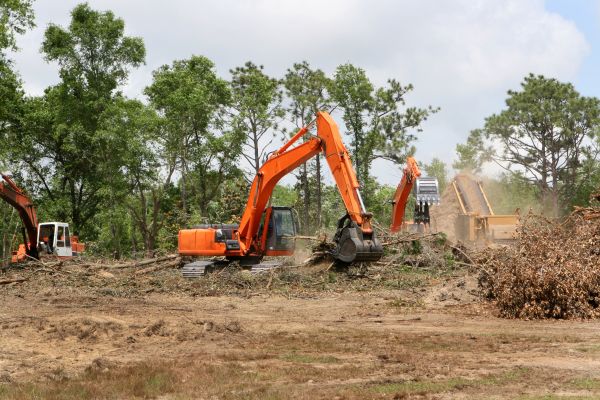 Cost of Commercial Lot Clearing in Nampa