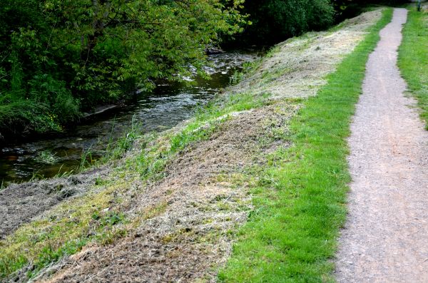 Cost of Trail Cutting in Nampa
